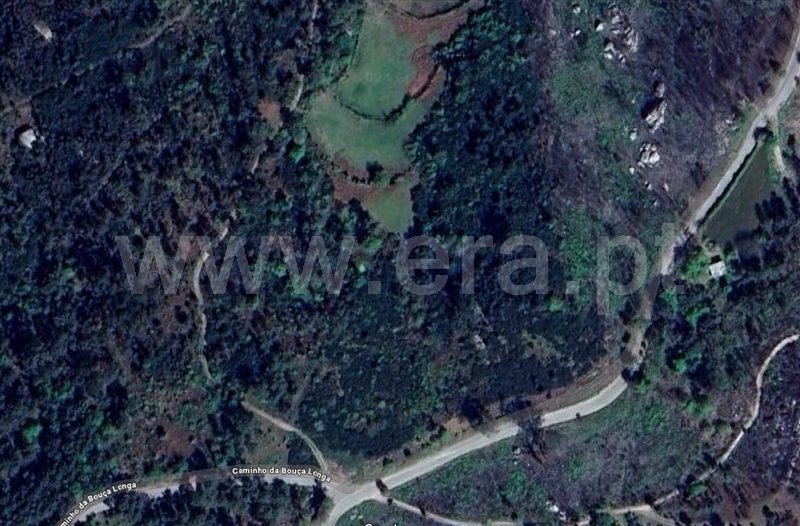 Terreno / Amarante, Olo e Canadelo