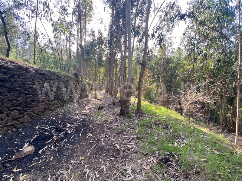 Terreno  Amarante, Rebordelo - 1382936 - 3