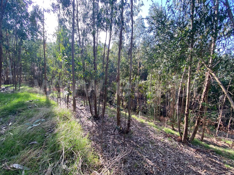 Terreno  Amarante, Rebordelo - 1382936 - 4