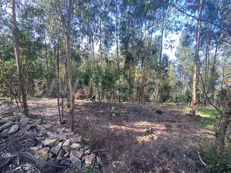 Terreno  Amarante, Rebordelo - 1382936 - 5