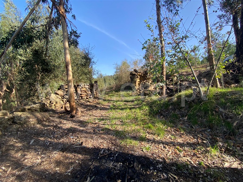 Terreno  Amarante, Rebordelo - 1382936 - 6