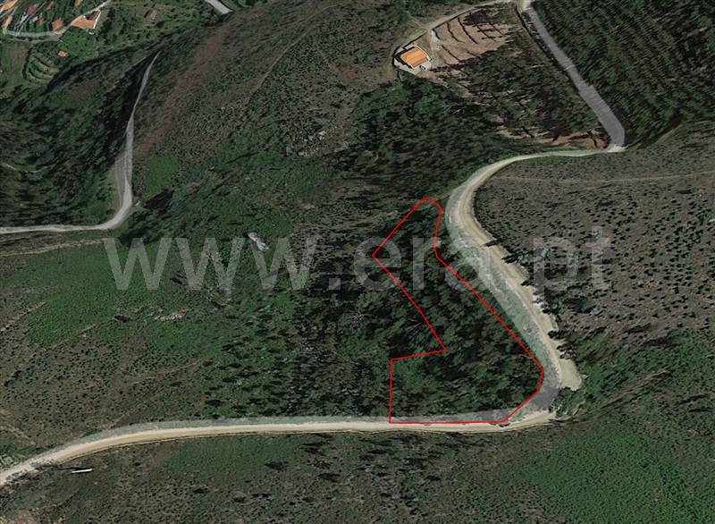 Terreno  Amarante, Rebordelo - 1382936 - 7