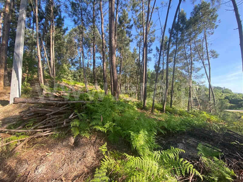 Terreno  Amarante, Salvador do Monte - 1485638 - 1