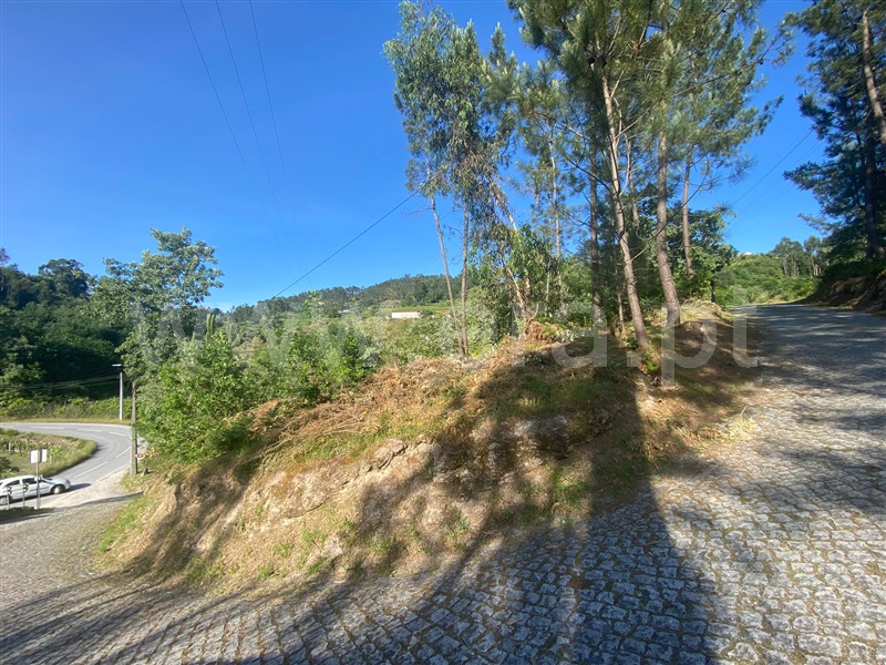 Terreno / Amarante, Salvador do Monte