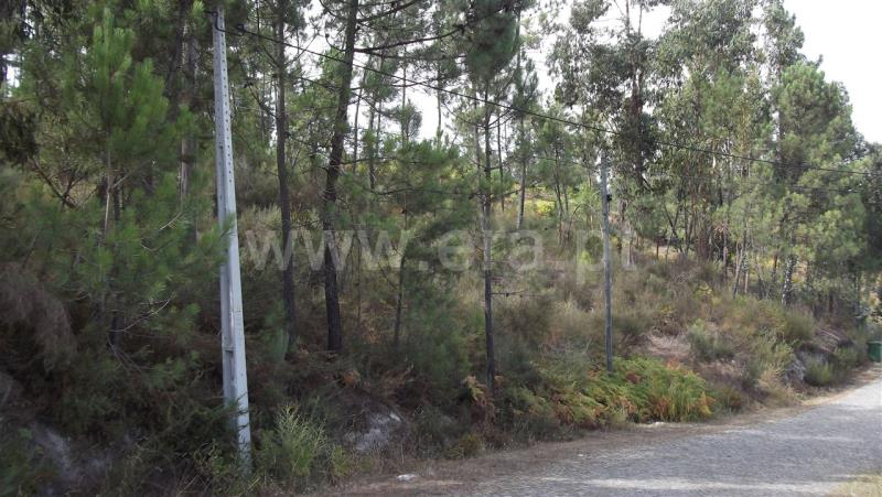 Terreno  Amarante, Salvador do Monte - 835306 - 7