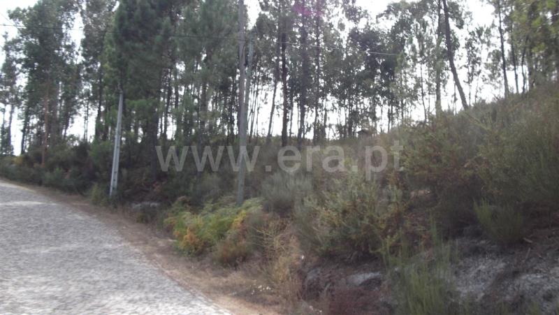 Terreno  Amarante, Salvador do Monte - 835306 - 8