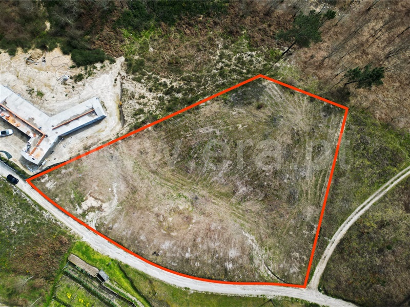 Terreno / Amarante, Travanca