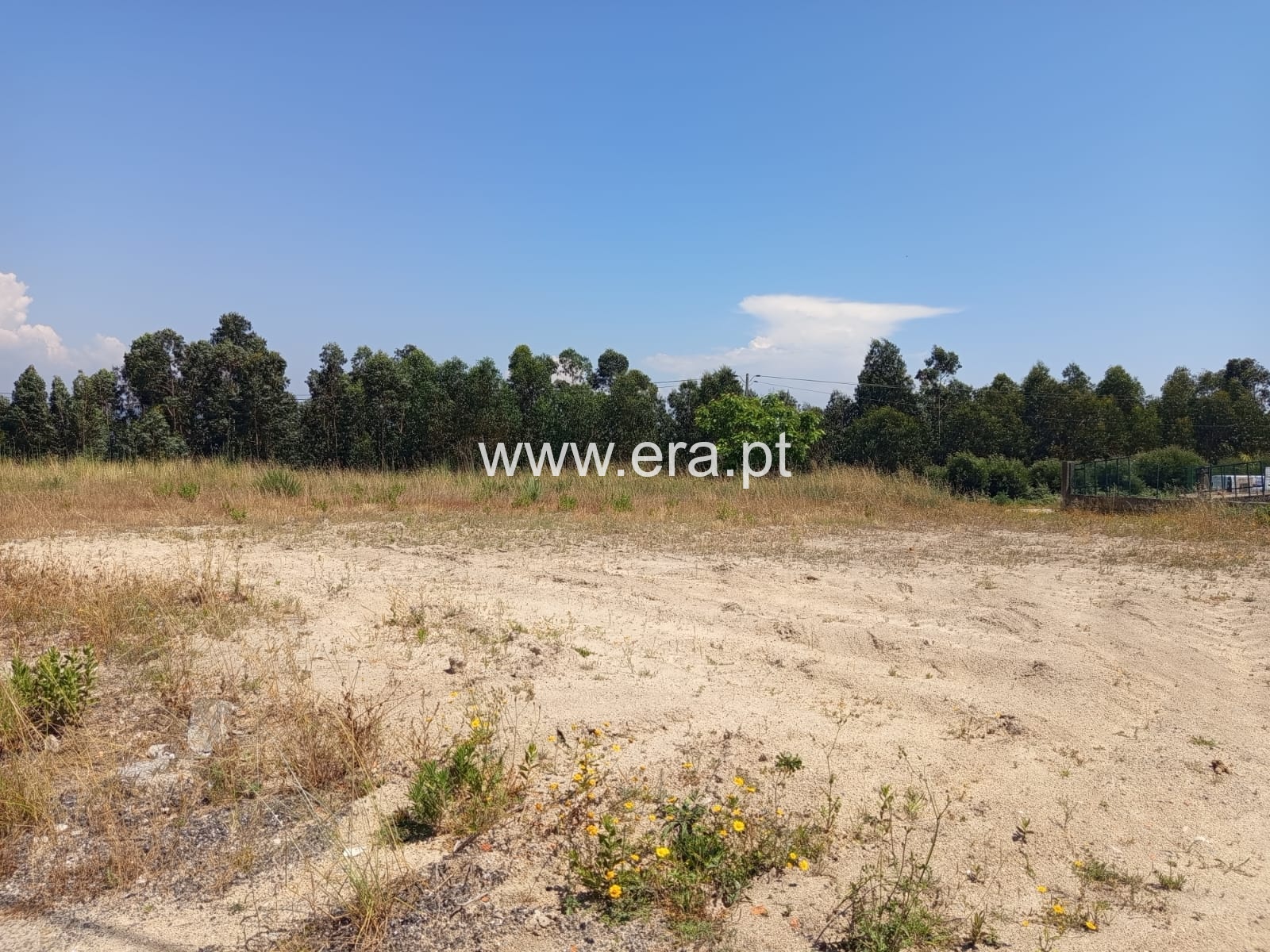 Terreno / Amarante, Travanca