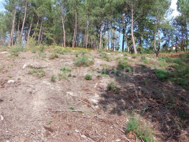 Terreno  Amarante, - 785908 - 3
