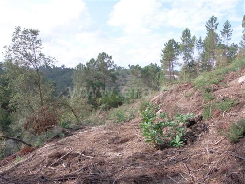 Terreno  Amarante, - 785908 - 4