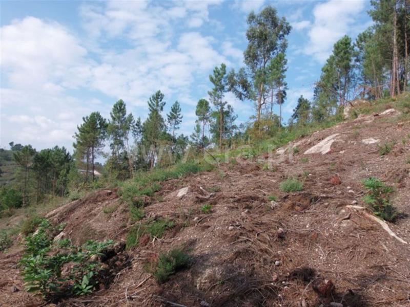 Terreno  Amarante, - 785908 - 5