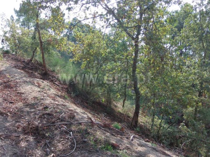 Terreno  Amarante, - 785908 - 6