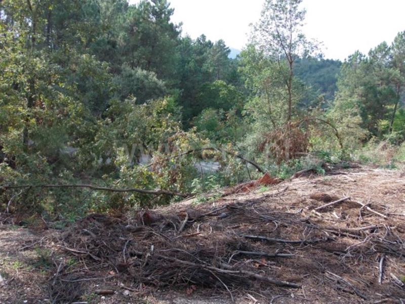 Terreno  Amarante, - 785908 - 7
