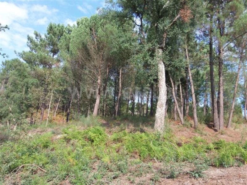 Terreno  Amarante, - 785908 - 8