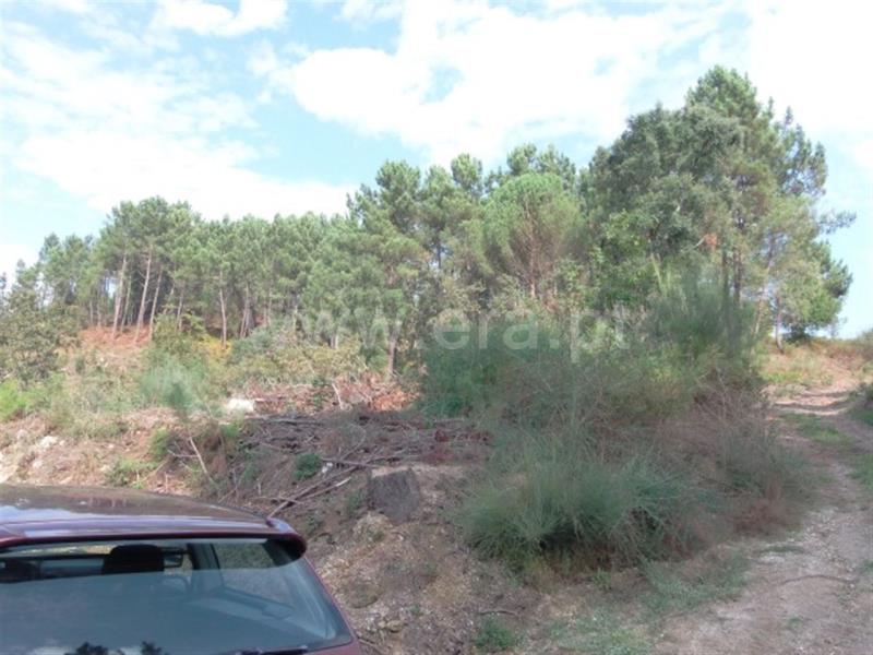Terreno  Amarante, - 785908 - 9