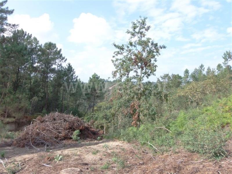 Terreno  Amarante, - 785908 - 11