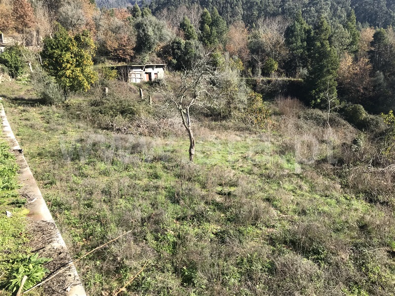 Terreno  Amares, Bouro (Santa Maria) - 1099528 - 2