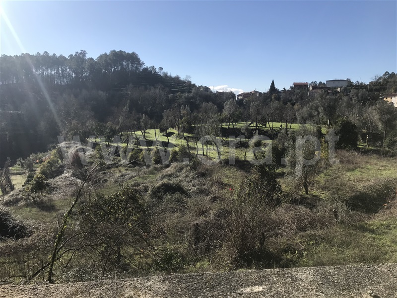 Terreno  Amares, Bouro (Santa Maria) - 1099528 - 6