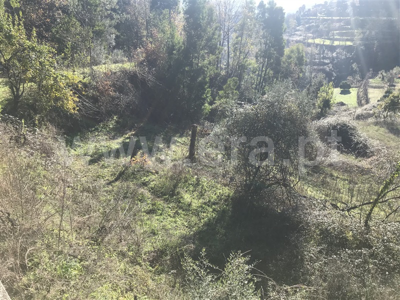 Terreno  Amares, Bouro (Santa Maria) - 1099528 - 7
