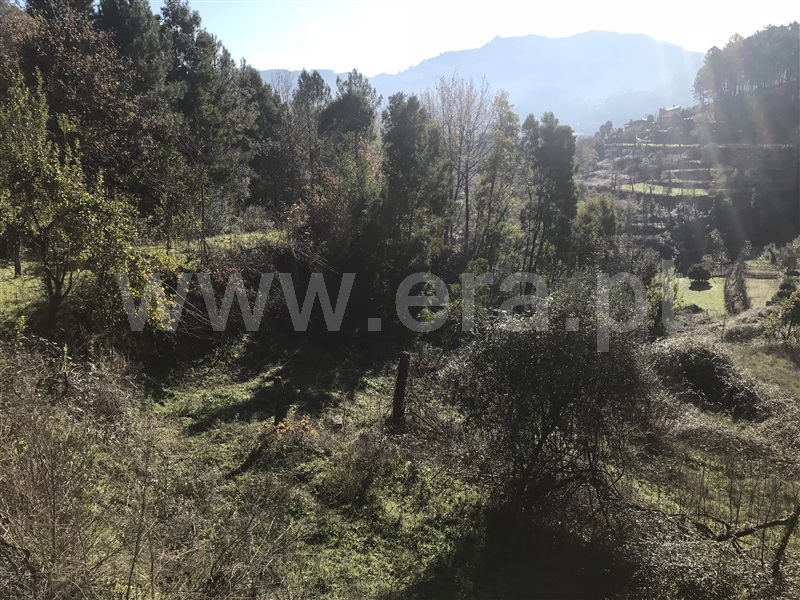 Terreno  Amares, Bouro (Santa Maria) - 1099528 - 8