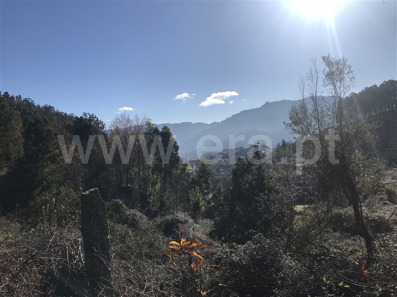 Terreno  Amares, Bouro (Santa Maria) - 1099528 - 13
