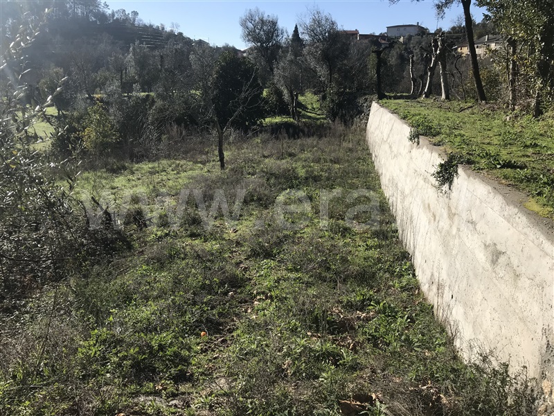 Terreno  Amares, Bouro (Santa Maria) - 1099528 - 14