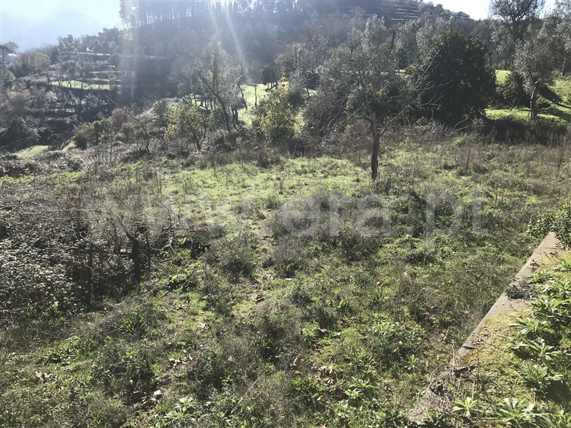 Terreno  Amares, Bouro (Santa Maria) - 1099528 - 15