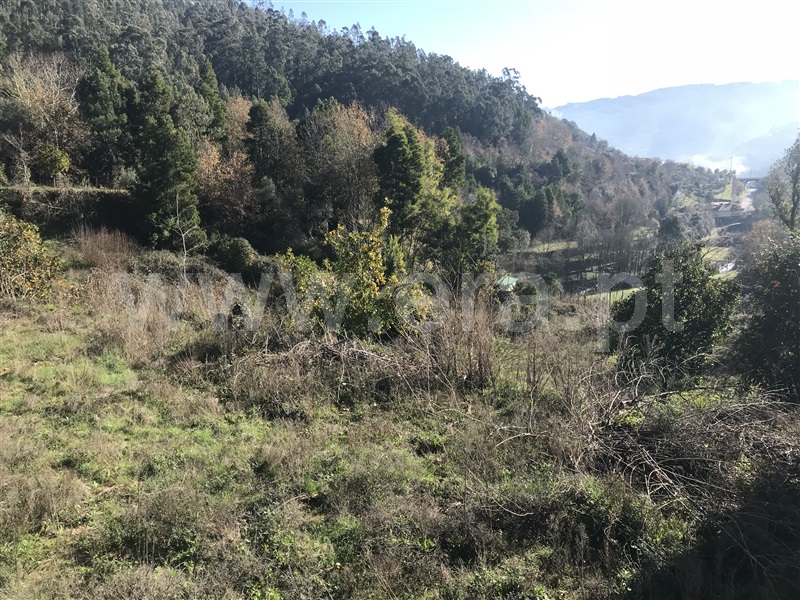 Terreno  Amares, Bouro (Santa Maria) - 1099528 - 16