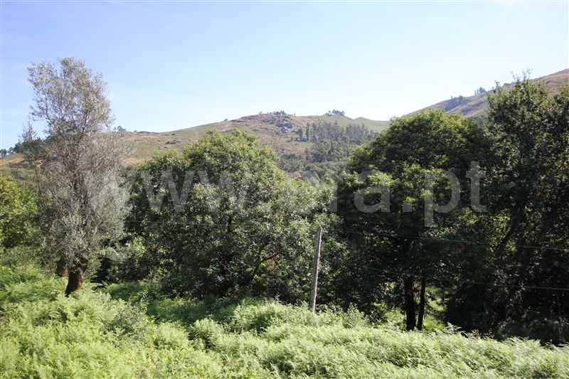 Terreno  Amares, Caldelas, Sequeiros e Paranhos - 1504804 - 21