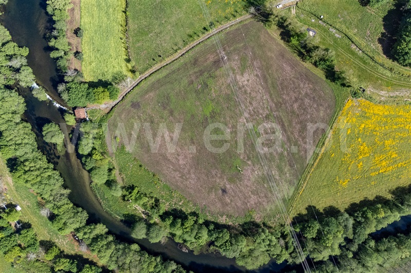Terreno  com Agrícola Amares, Fiscal - 1477376 - 3