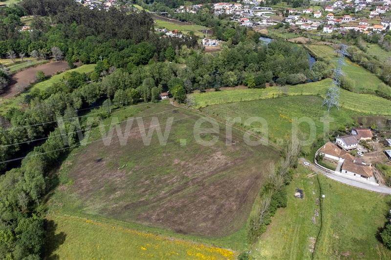 Terreno  com Agrícola Amares, Fiscal - 1477376 - 11