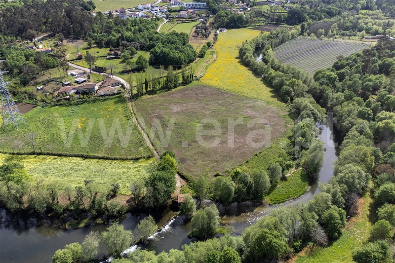 Terreno  com Agrícola Amares, Fiscal - 1477376 - 12