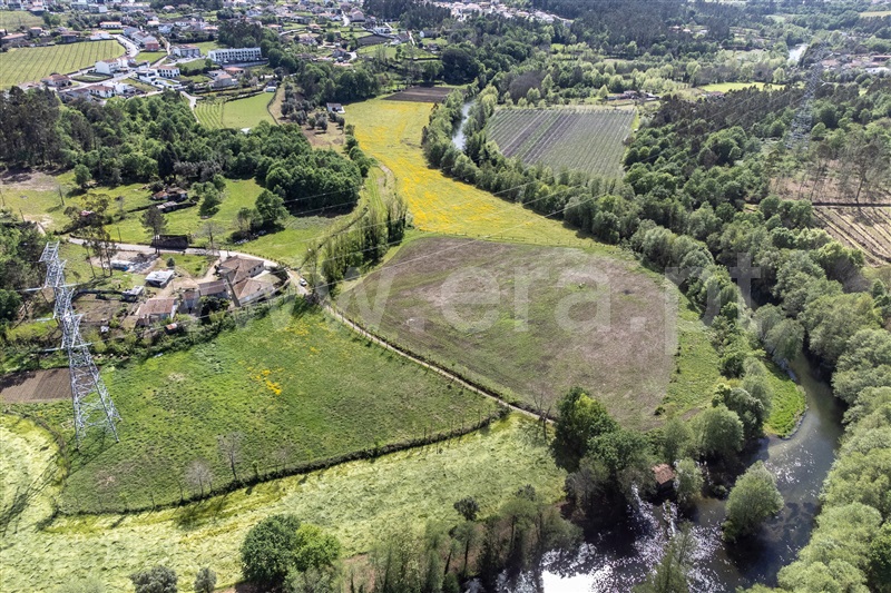 Terreno  com Agrícola Amares, Fiscal - 1477376 - 13