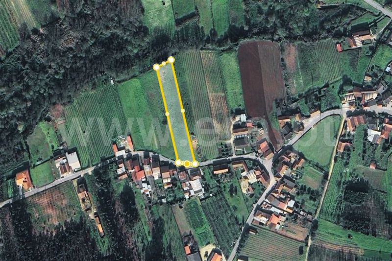 Terreno / Anadia, Amoreira da Gândara, Paredes do Bairro e Ancas