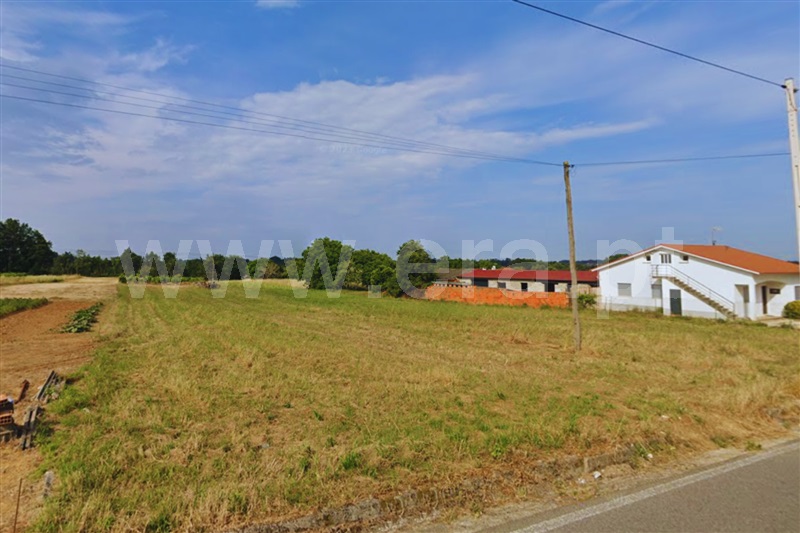 Terreno  Anadia, Amoreira da Gândara, Paredes do Bairro e Ancas - 1375177 - 6