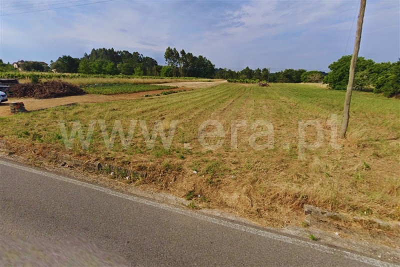 Terreno  Anadia, Amoreira da Gândara, Paredes do Bairro e Ancas - 1375177 - 7