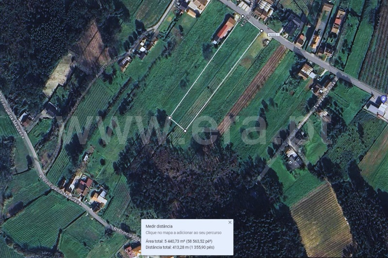 Terreno / Anadia, Amoreira da Gândara, Paredes do Bairro e Ancas