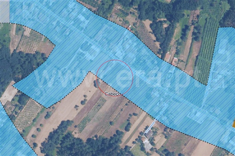 Terreno  Anadia, Amoreira da Gândara, Paredes do Bairro e Ancas - 1375177 - 9