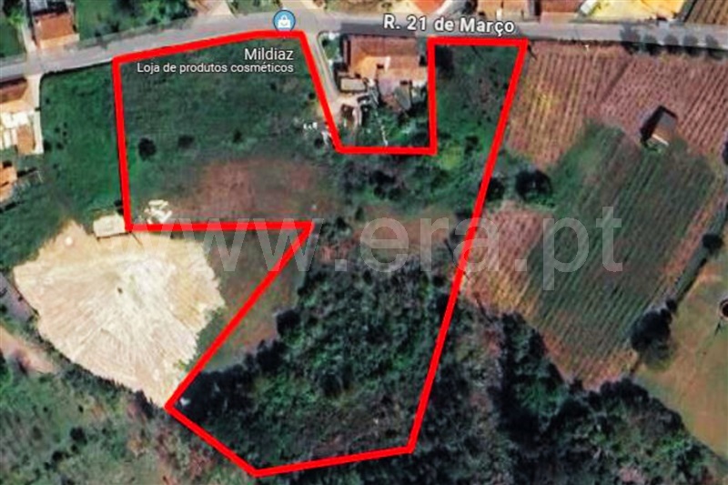 Terreno / Anadia, Amoreira da Gândara, Paredes do Bairro e Ancas