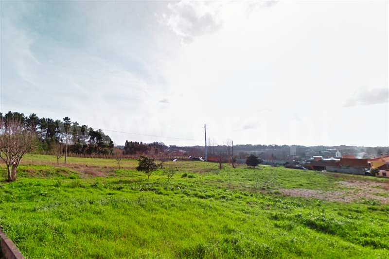 Terreno  Anadia, Amoreira da Gândara, Paredes do Bairro e Ancas - 1399383 - 3