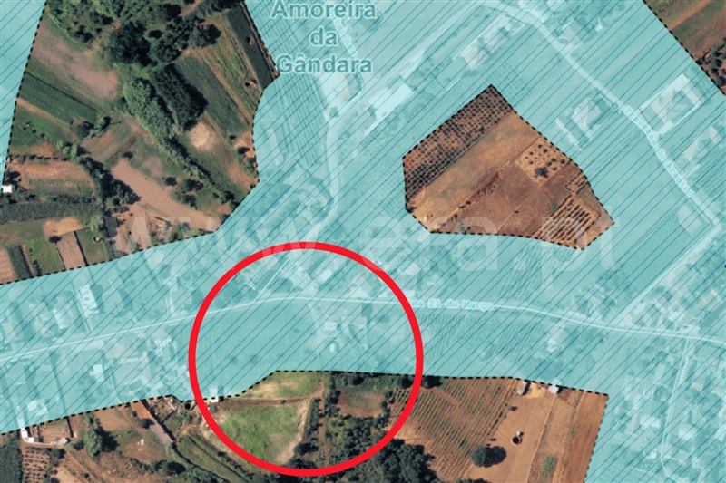 Terreno  Anadia, Amoreira da Gândara, Paredes do Bairro e Ancas - 1399383 - 7