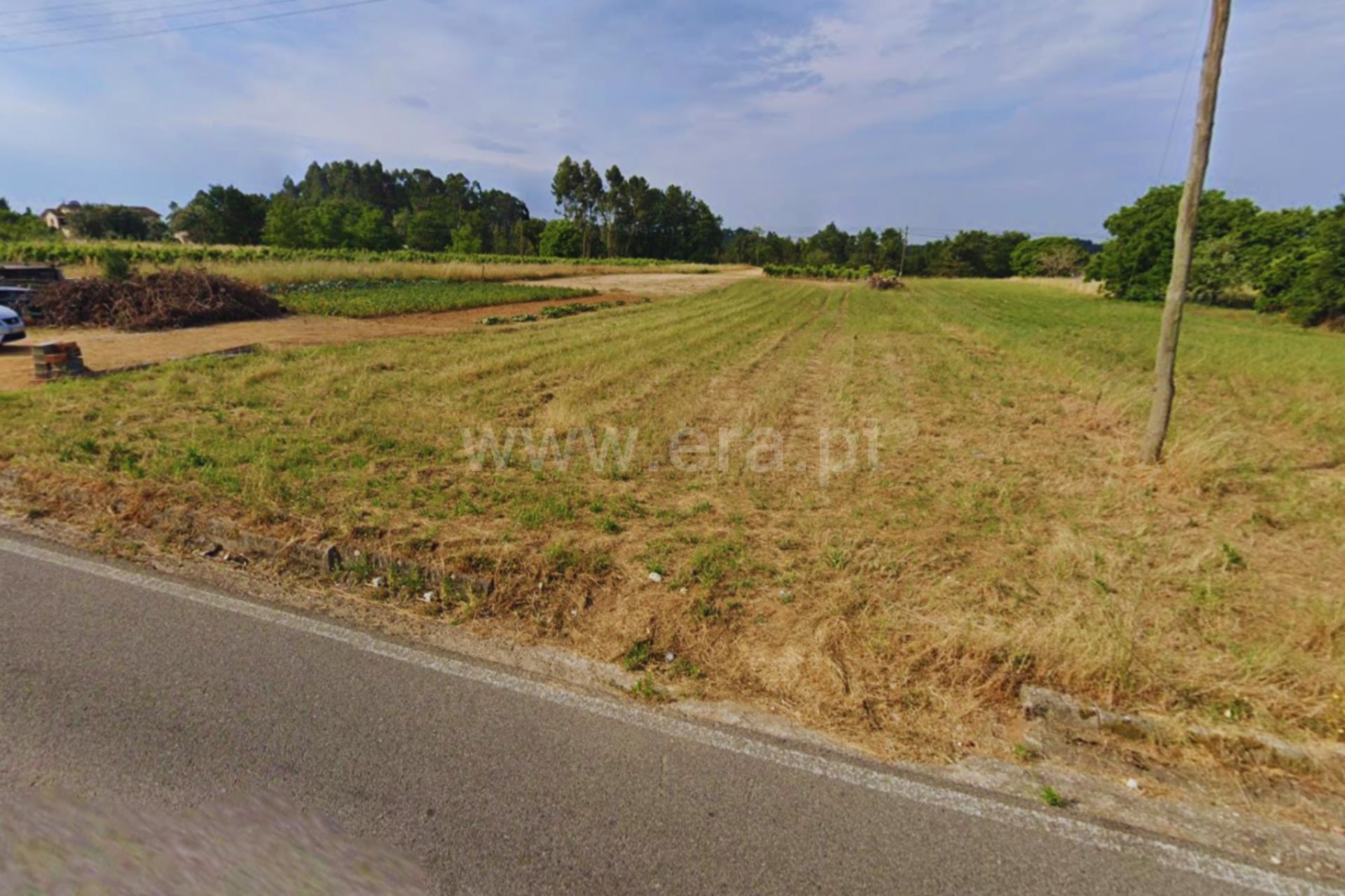 Terreno em Anadia