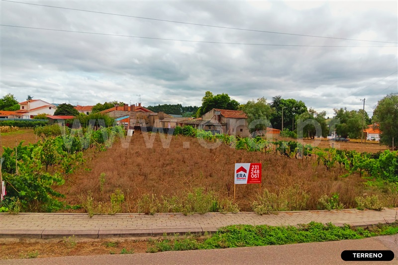 Terreno / Anadia, Avelãs de Caminho