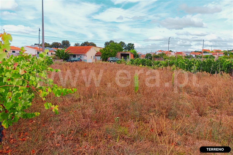 Terreno  Anadia, Avelãs de Caminho - 1495425 - 16