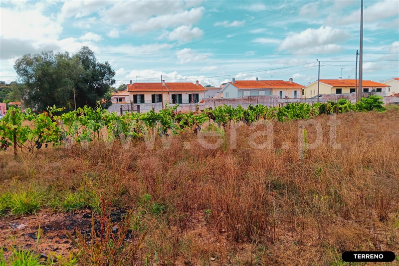 Terreno  Anadia, Avelãs de Caminho - 1495425 - 17