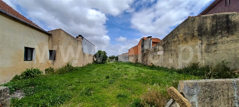 Terreno / Anadia, Chipar de Baixo