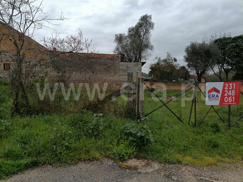 Terreno / Anadia, Espairo