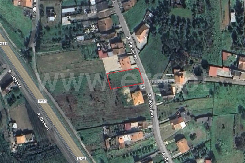 Terreno / Anadia, Sangalhos