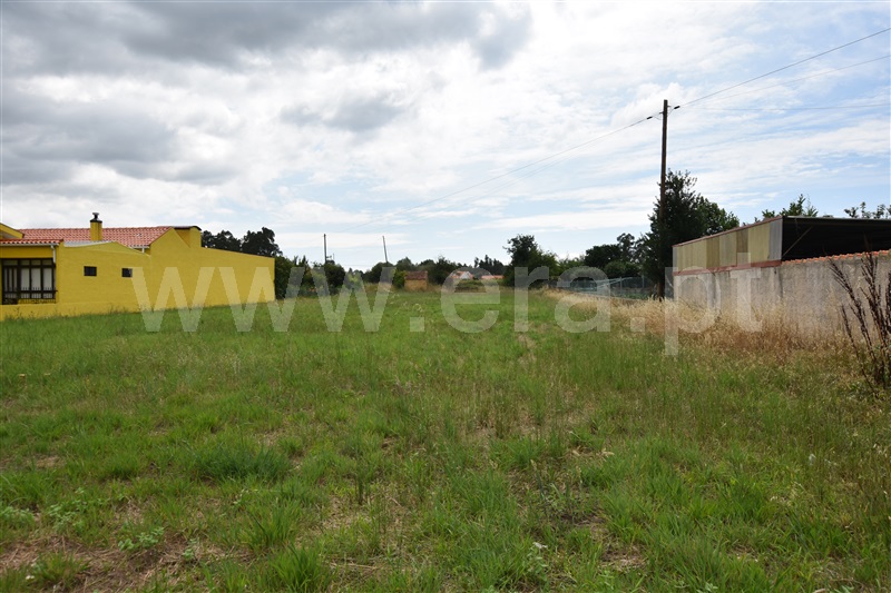 Terreno  Anadia, São Lourenço do Bairro - 1329906 - 3