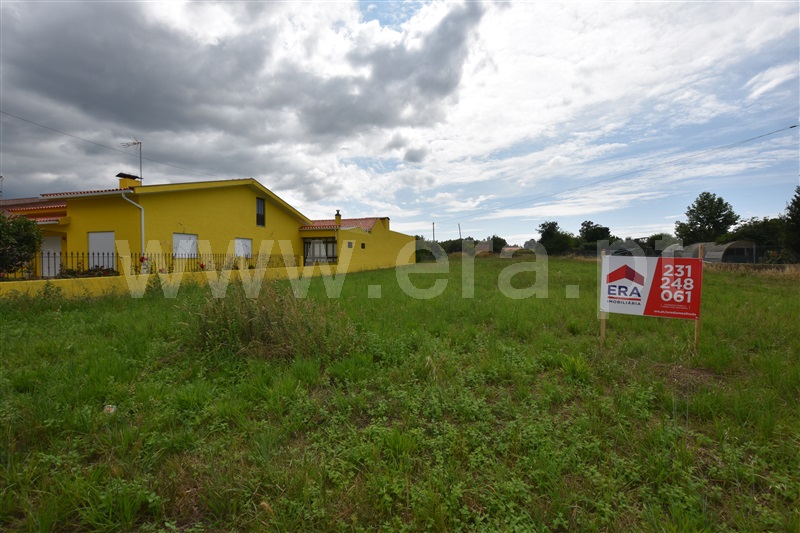 Terreno  Anadia, São Lourenço do Bairro - 1329906 - 5